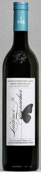 Grauburgunder Steinbach 2020 DAC erste STK Lage Bio