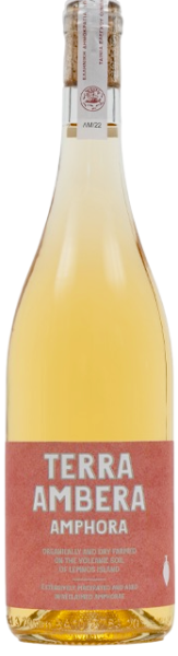 Terra Ambera Amphora 2025