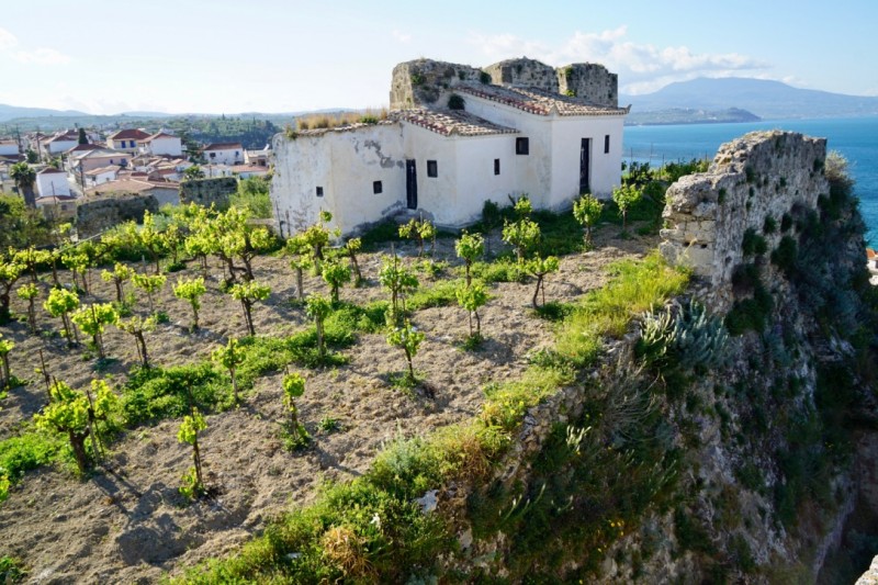 Griechische Weine Beim Spezialisten Kaufen Inofilos