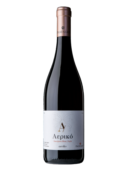 Aeriko 2019