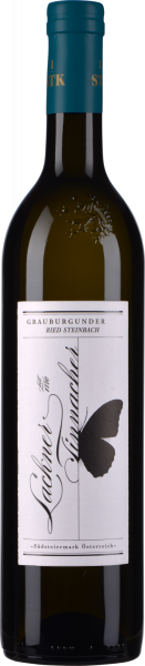 Grauburgunder Steinbach 2020 DAC erste STK Lage Bio