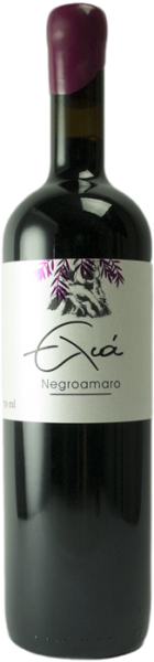 Elia Negroamaro 2019