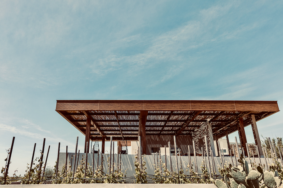 Vaptitis Tinos Weingut